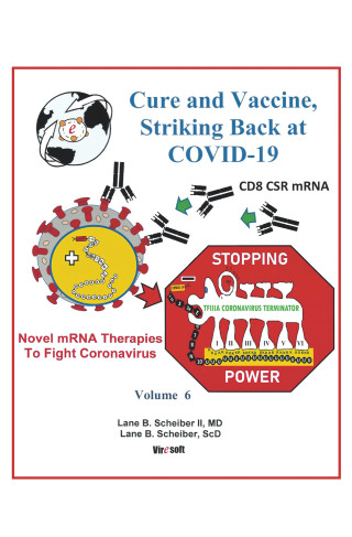 Titelbild: Cure and Vaccine, Striking Back at Covid-19 9781663208392