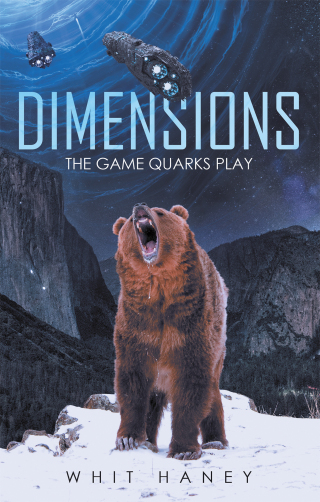 Cover image: Dimensions 9781663208811