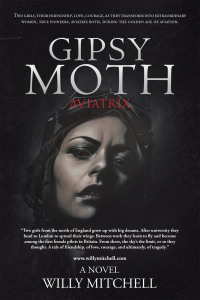 Imagen de portada: Gipsy Moth 9781663210333