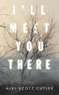 Cover image: I’Ll Meet You There 9781663211095
