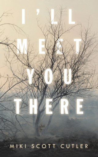 Imagen de portada: I’Ll Meet You There 9781663211095
