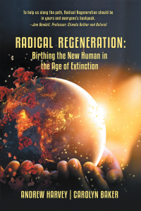 Cover image: Radical Regeneration: 9781663211958