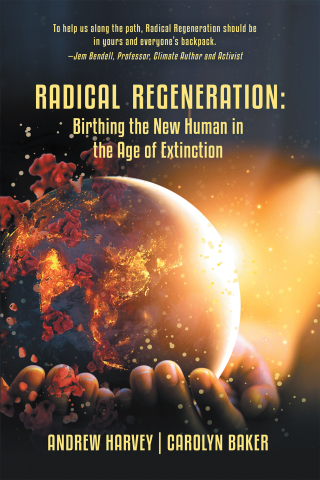 Imagen de portada: Radical Regeneration: 9781663211958