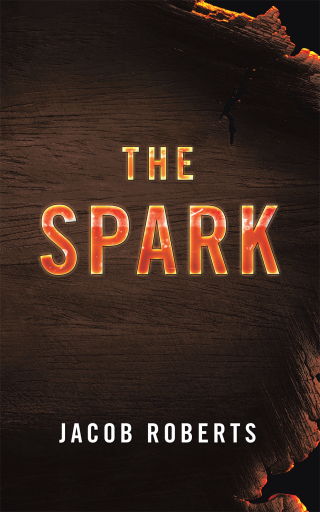 Imagen de portada: The Spark 9781663213464