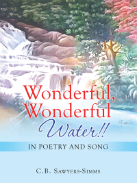 Imagen de portada: Wonderful, Wonderful Water!! 9781663217233