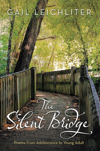 Imagen de portada: The Silent Bridge 9781663218179