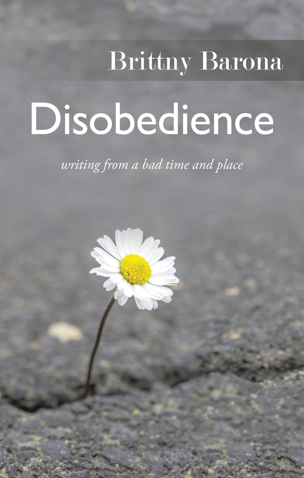 Disobedience Writing from a Bad Time and Place