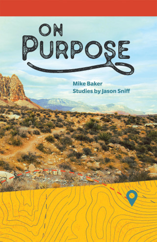 Imagen de portada: On Purpose 9781663222206