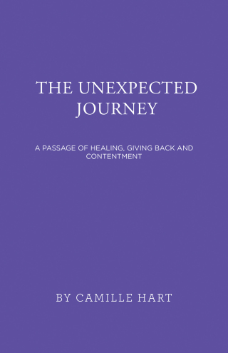 Imagen de portada: The Unexpected Journey 9781663222893