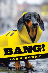 Cover image: Bang! 9781663225542