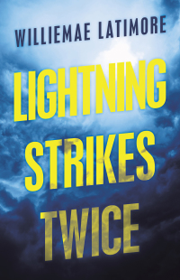 Omslagafbeelding: Lightning Strikes Twice 9781663226631