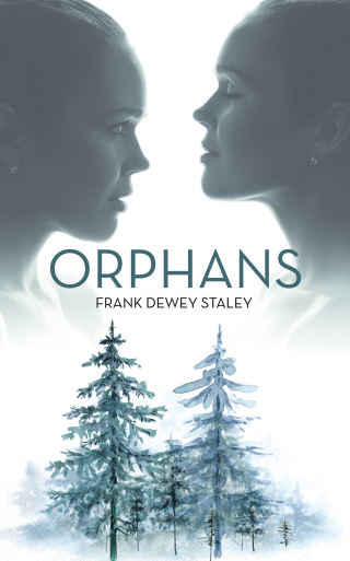 Imagen de portada: Orphans 9781663227775