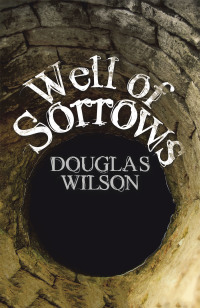 Imagen de portada: Well of Sorrows 9781663228673