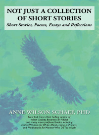 Cover image: Not Just a Collection of Short Stories 9781663231260