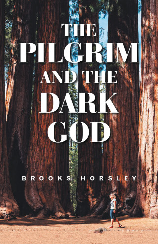 Cover image: The Pilgrim and the Dark God 9781663231628
