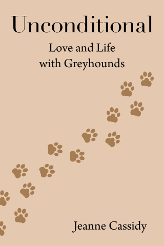 Cover image: Unconditional 9781663233387