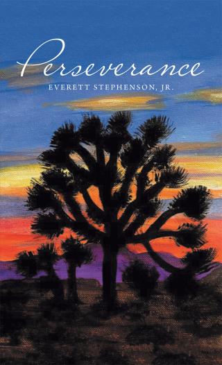 Imagen de portada: Perseverance 9781663234063
