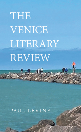 Imagen de portada: The Venice Literary Review 9781663236029