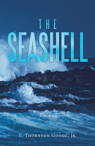 Imagen de portada: The Seashell 9781663236395
