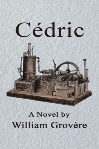 Cover image: Cédric 9781663242082