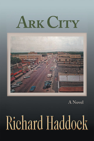 Titelbild: Ark City 9781663242549