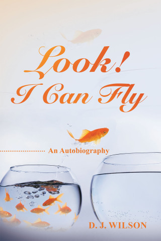 Imagen de portada: Look! I Can Fly 9781663244154