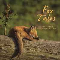 Cover image: Fox Tales 9781663245892