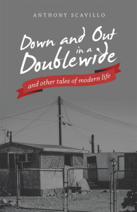 Imagen de portada: Down and out in a Doublewide and Other Tales of Modern Life 9781663246196