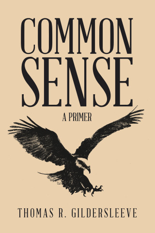 Titelbild: Common Sense 9781663246868