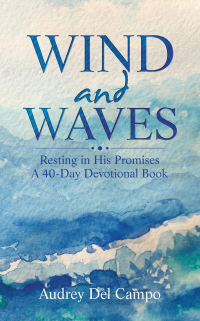 Cover image: Wind and Waves 9781663251558