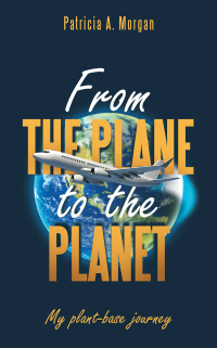 Omslagafbeelding: From the Plane to the Planet 9781663251824