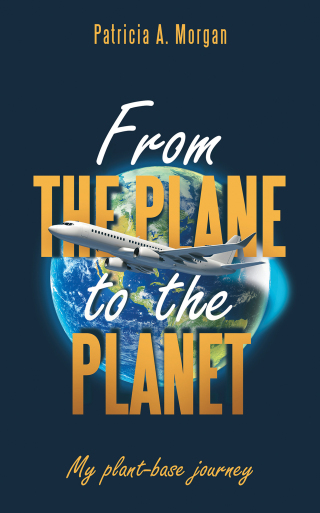 Cover image: From the Plane to the Planet 9781663251824