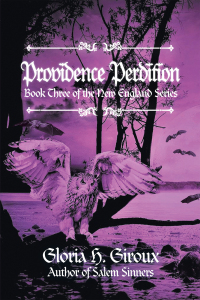 Cover image: Providence Perdition 9781663253743