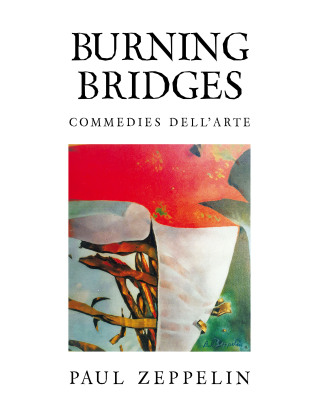 Imagen de portada: Burning Bridges 9781663253934