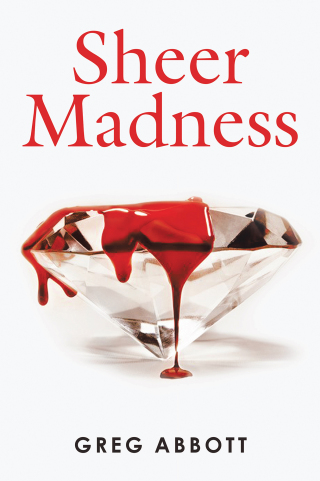 Imagen de portada: Sheer Madness 9781663254009