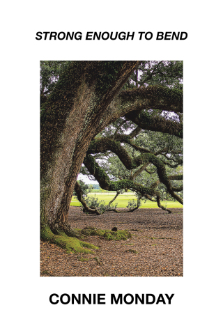 Cover image: Strong Enough To Bend 9781663255327