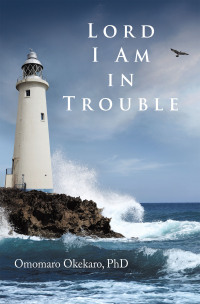 Imagen de portada: Lord I Am in Trouble 9781663258847