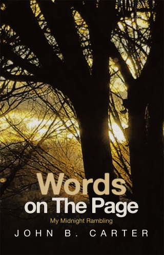 Imagen de portada: Words on The Page 9781663261205