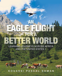 Cover image: An Eagle Flight for a Better World 9781663258731