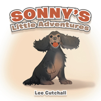 Omslagafbeelding: Sonny's Little Adventures 9781663261595