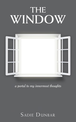 Imagen de portada: The Window 9781663261663