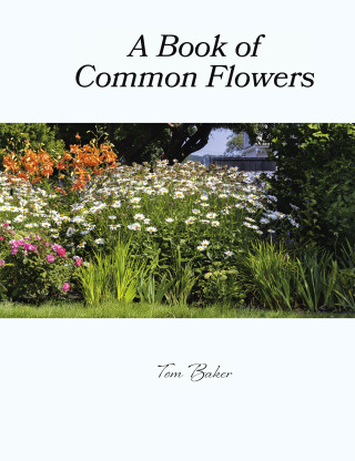 Titelbild: A Book of Common Flowers 9781663263186