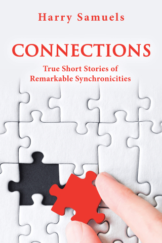 Imagen de portada: CONNECTIONS 9781663265579