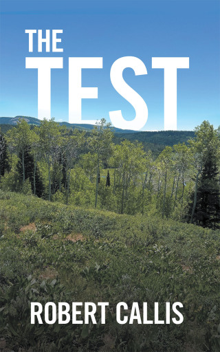 Imagen de portada: The Test 9781663266811