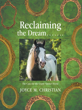 Imagen de portada: Reclaiming the Dream……. 9781663271464