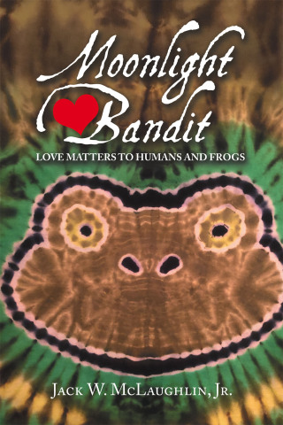 Cover image: Moonlight Bandit 9781663271815