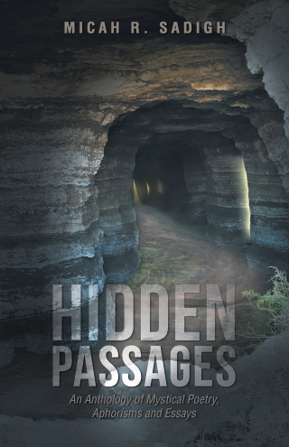 Imagen de portada: Hidden Passages 9781663275523