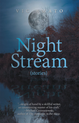 Imagen de portada: Night Stream 9781663275882