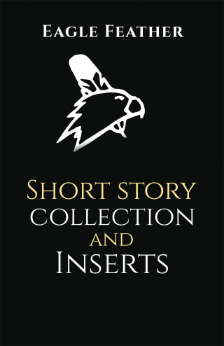 Imagen de portada: Short story collection and inserts 9781663276995