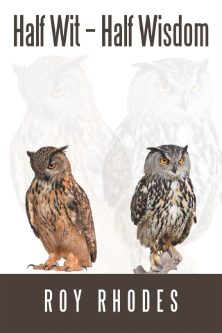 Imagen de portada: Half Wit – Half Wisdom 9781663277121
